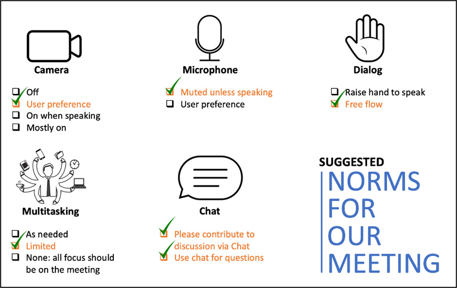 建议的会议规范。摄像头选项:关闭，用户偏好(勾选)，说话时打开，大部分打开。麦克风选项:静音，除非说话(勾选)，用户偏好。对话选项:举手发言，自由流动(勾选)。多任务处理选项:根据需要，有限(勾选)，没有——所有的注意力都应该集中在会议上。聊天选项:请通过聊天参与讨论(选中)，使用聊天回答问题(选中)。